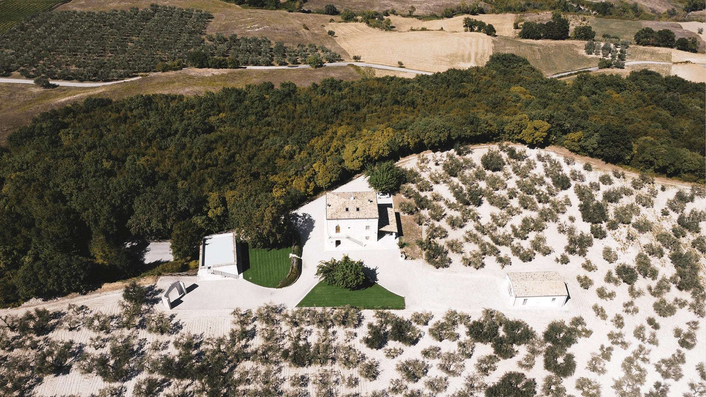 Eine Luftaufnahme eines Landhaus-Anwesens, umgeben von Olivenbäumen und Feldern, typisch für eine italienische Landschaft.