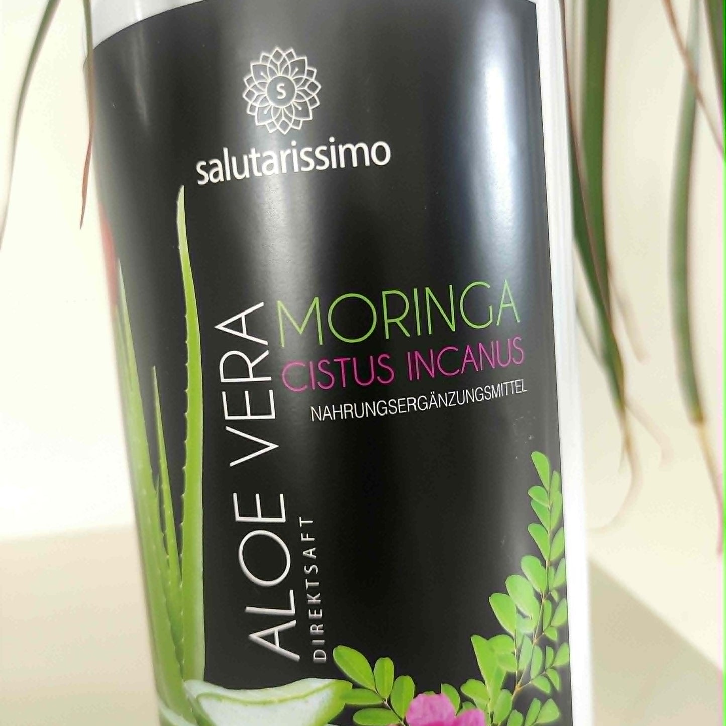 Aloe Vera mit Moringa und Cistus Incanus, 8 x 1000ml